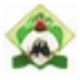 NECO logo
